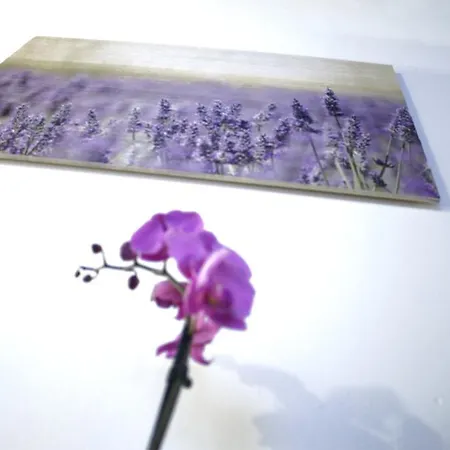 Fleur De Lis Central شقة بيرغامو